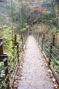 高尾山 吊り橋